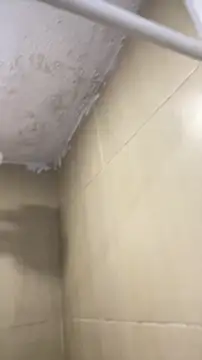 Chloee_Peach 라이브 XXX 채팅