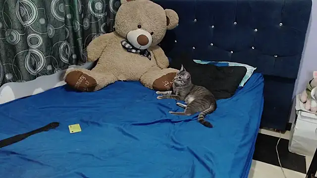 ANGELIQUE_KLANEn Live XXX chat