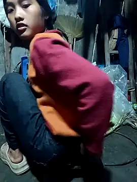 Hoa-tuylipn Webbikameraesitys