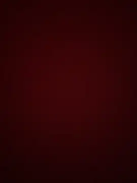 shin9shin9: διαδικτυακό σόου στην κάμερα