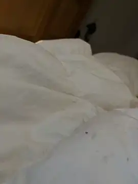 Johangrunnn Webbikameraesitys