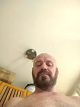 wilkalfa Pertunjukan Webcam