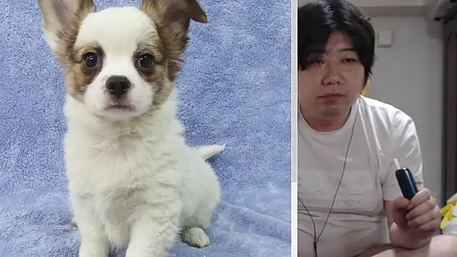 Chat XXX en directo de raterate555