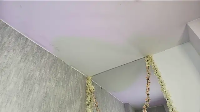 ValerySilva Live XXX Chat