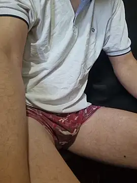 Show webcam de Dennisfwd