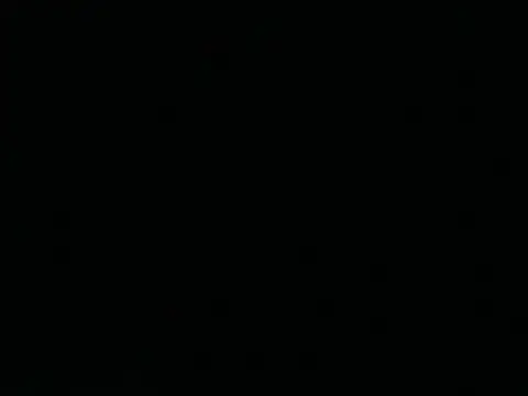 Tigerhill2023 웹캠 쇼