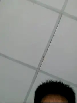 Show de webcam de cccbbb222