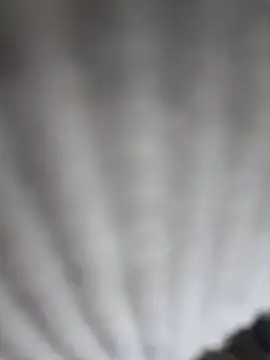 roxyrougee 웹캠 쇼