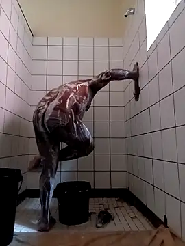 SpicingTinge Webcam show