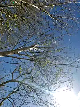 Sembang XXX Secara Langsung LydiaMaus96