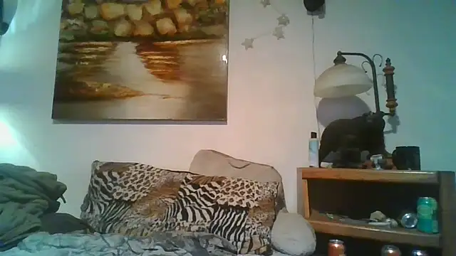 Pertunjukan Kamera Web theboobietrap