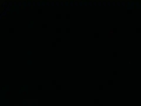 Tigerhill2023 Obrolan Langsung XXX