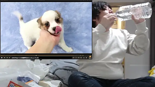 Show de raterate555 na webcam