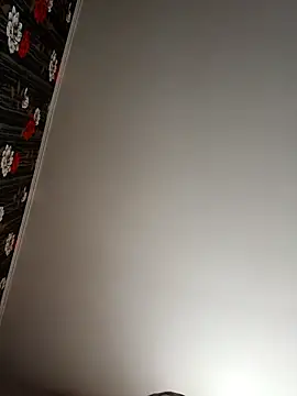 Levarboy Webcam-Show