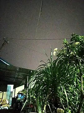 July-Asian: απευθείας συνομιλία ΧΧΧ