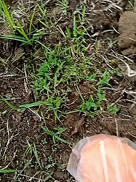 NIANIAKUTE: онлайн-секс-чат