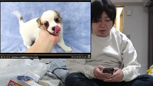 Chatroom XXX en direct de raterate555