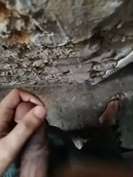 Show de ShadowMaverickaFR na webcam