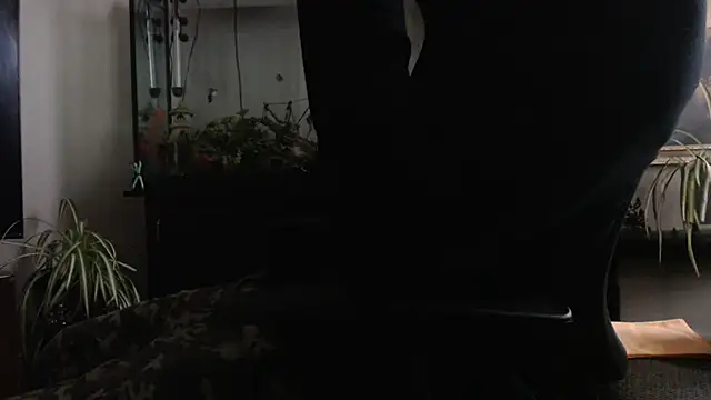 EspanolVato: διαδικτυακό σόου στην κάμερα