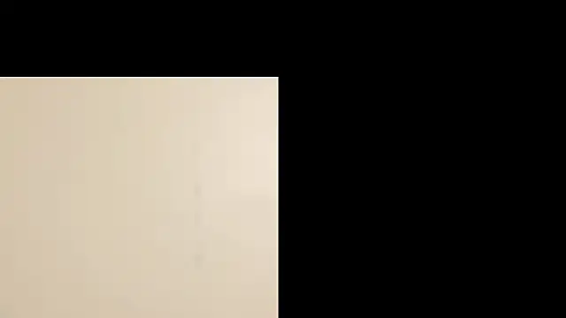 alex_and_charlie Show Webcam