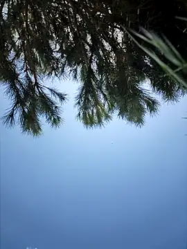 bellapaty: онлайн-секс-чат