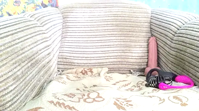 SHARP299 网络视讯表演