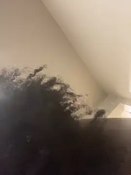 gaimov3r2024: вебкам-шоу