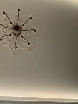 fanchashaonv88 Pertunjukan Webcam