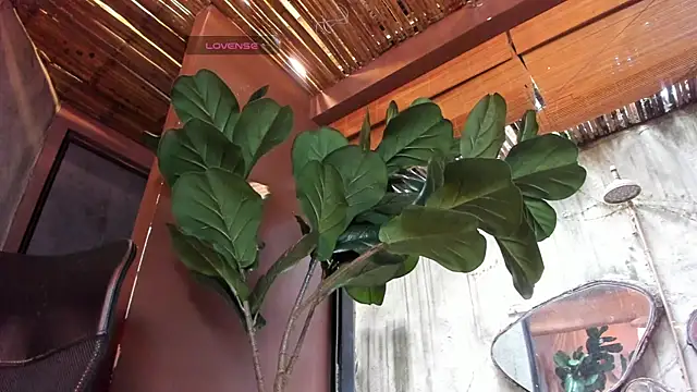 Victoria_Gonzalez: απευθείας συνομιλία ΧΧΧ