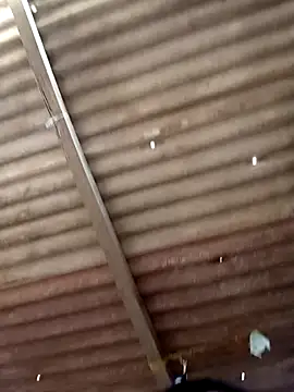 Show Webcam de srtsara