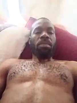 Lowesan Webbikameraesitys