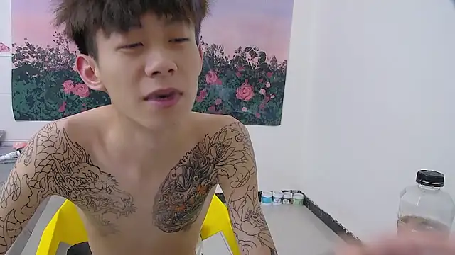 Show webcam de paofu-001