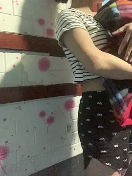 baeas-lan 现场XXX聊天