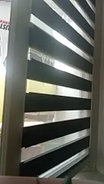 Show modela SeptalGadgetry na web-kameri