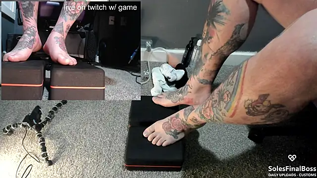 Show Webcam de SolesFinalBoss