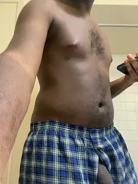 ThickDic28のウェブカメラショー