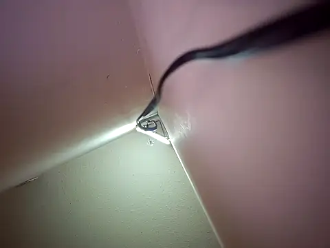 โชว์เว็บแคมของ SexyAssPosingGuy