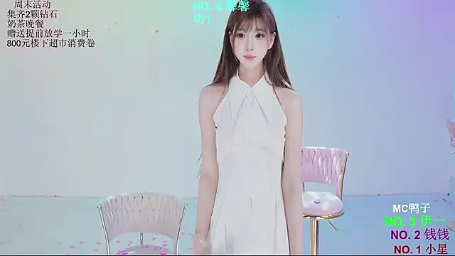 ZZ00033S Show Webcam