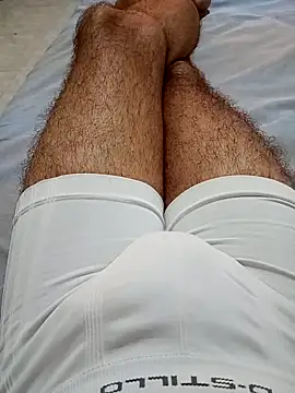 PeludoBragantino – webcam-show