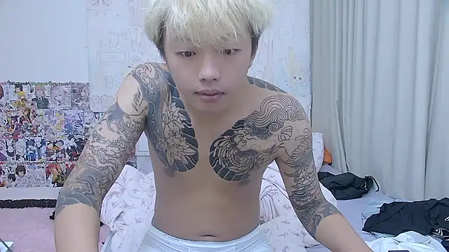 Chocolates-001 Show Webcam