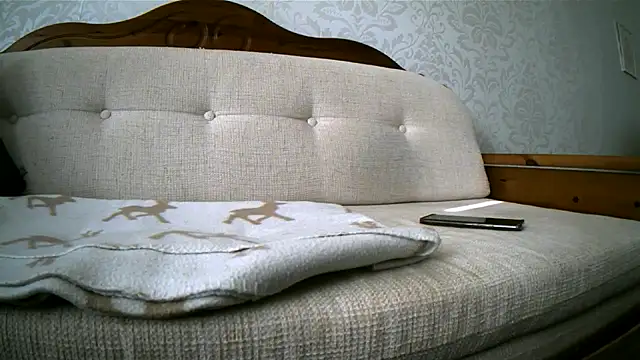 Teemun Webbikameraesitys