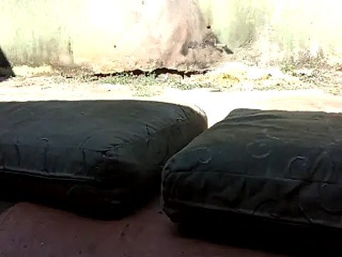 Show de wel9238 na webcam