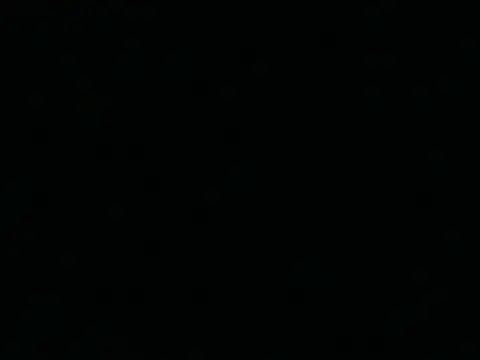 Show de Tigerhill2023 na webcam