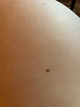 Chatroom XXX en direct de JuicyGamess