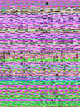 Analia_01 élő XXX-chatje