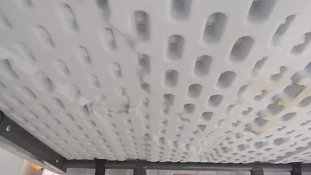 veronica_salas Show in webcam