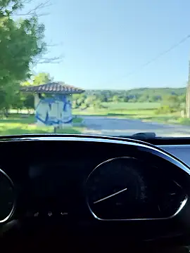 lui8181's Webcam Show