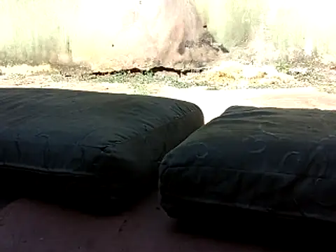 Webkamerová show wel9238