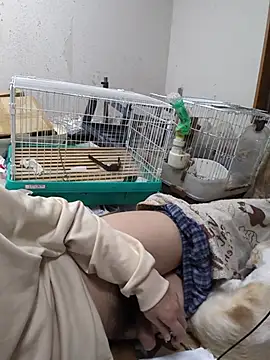 youheikun – Kamerová šou