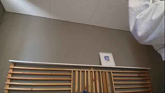 PaulEvens 网络视讯表演